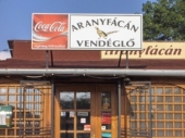 Elolvasom a tesztet