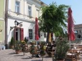 Elolvasom a tesztet