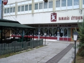 Elolvasom a tesztet